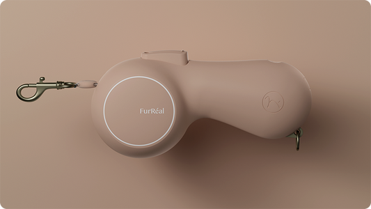 Flexible Lead Flagship Model