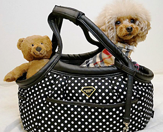Puffy Fluffy Polka Dots Carrier