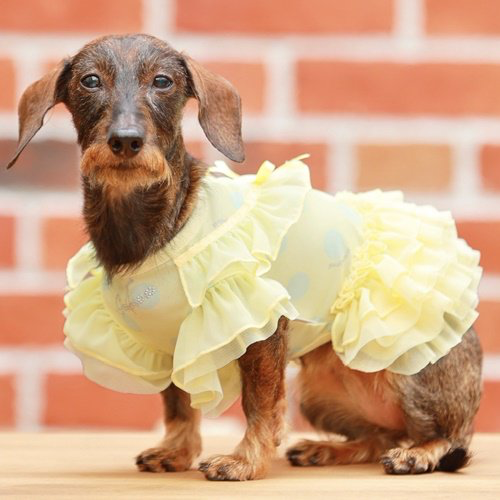 Pastel Polka Dots Cool Frill Dress