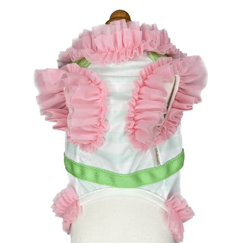 Frill Border Harness