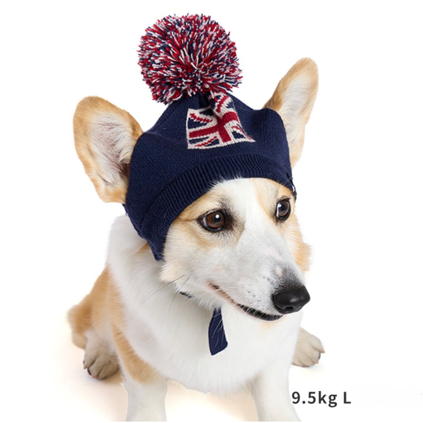 Flag Pom-pom Beanie