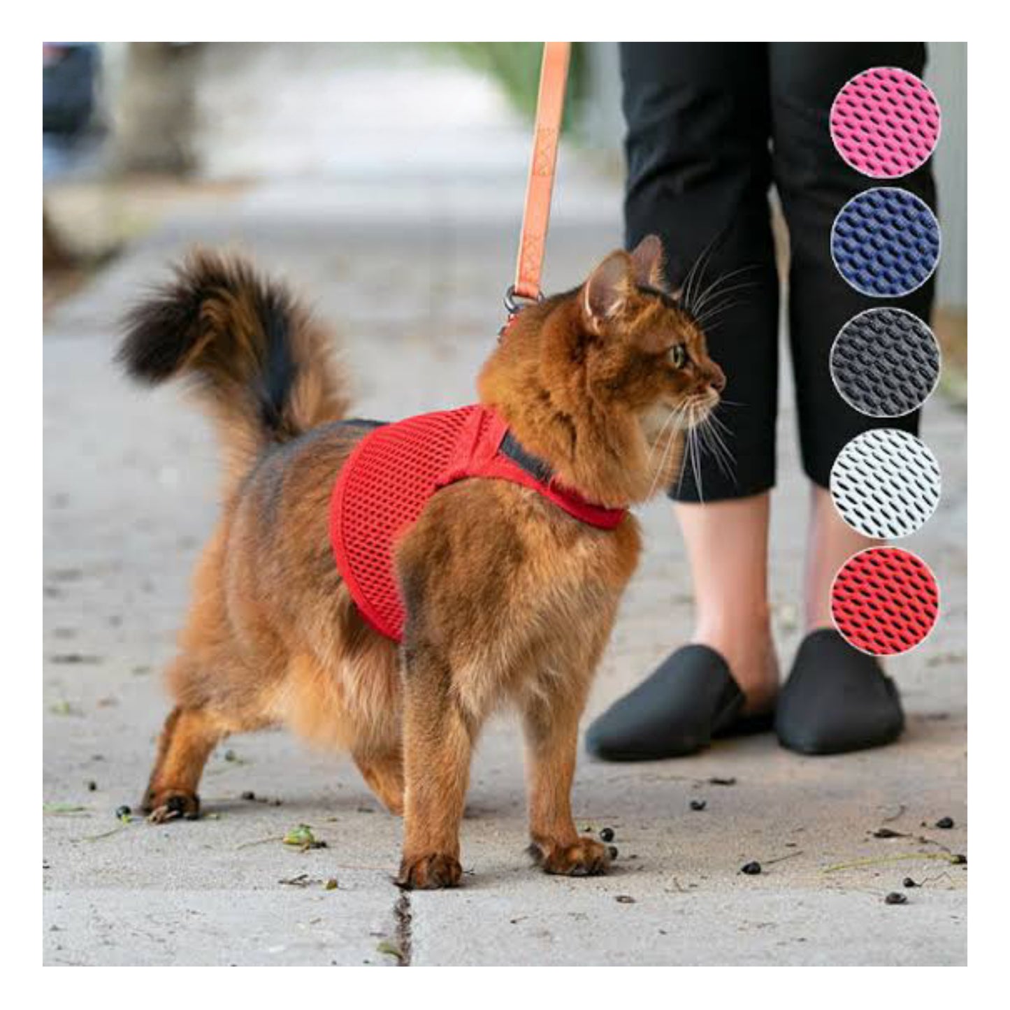 Martingale Cat Harness