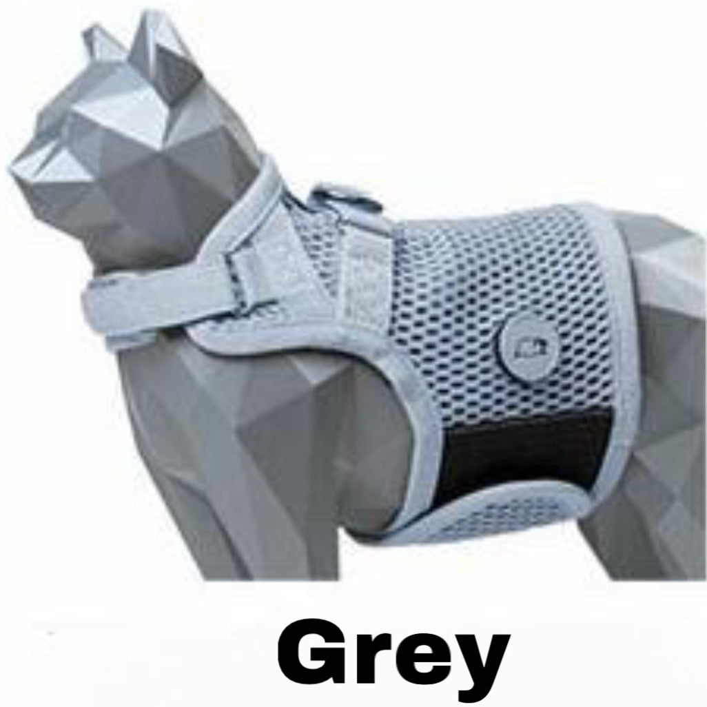 Martingale Cat Harness