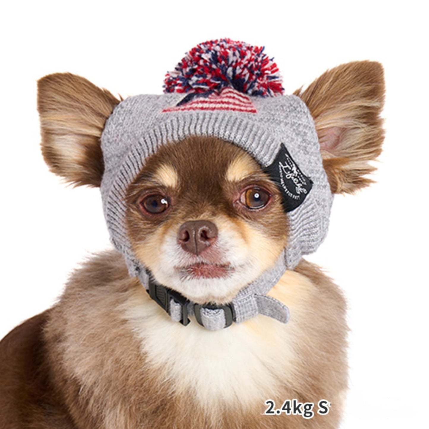 Flag Pom-pom Beanie