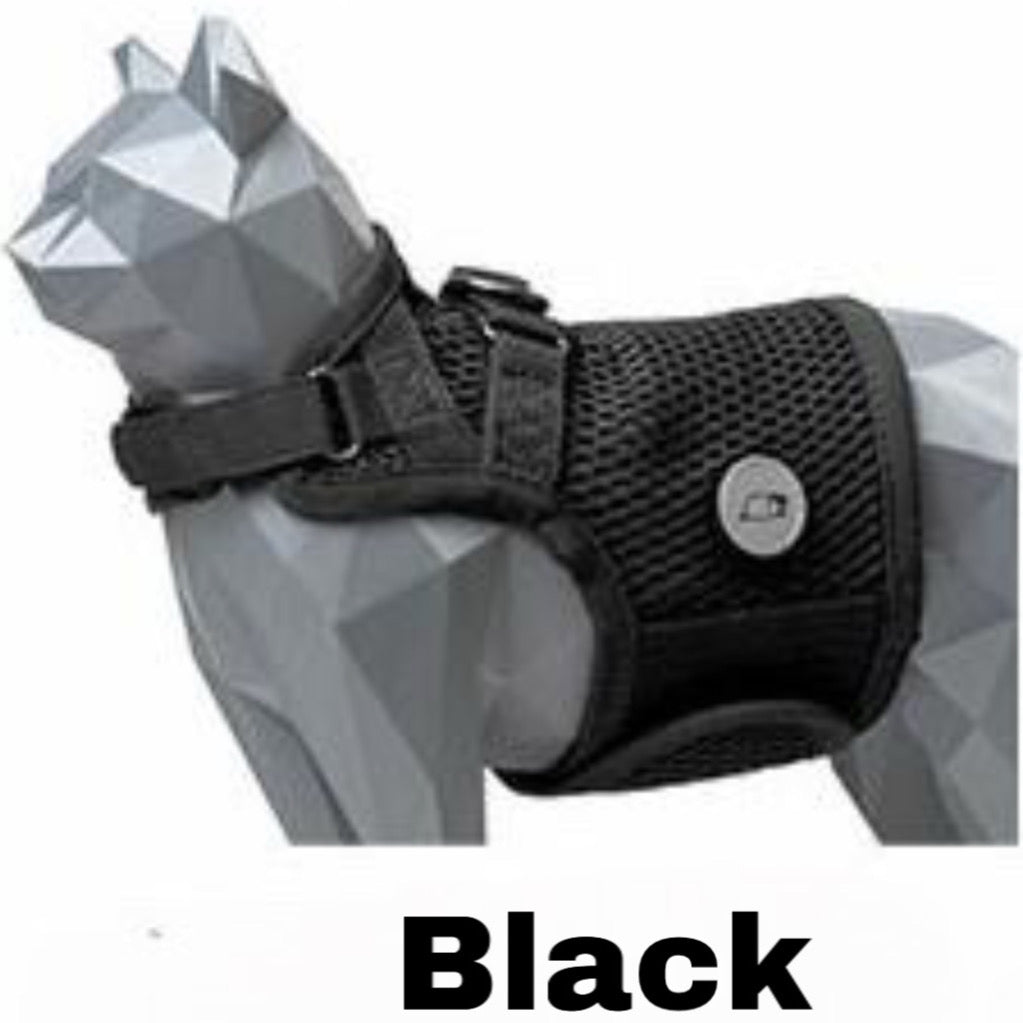 Martingale Cat Harness