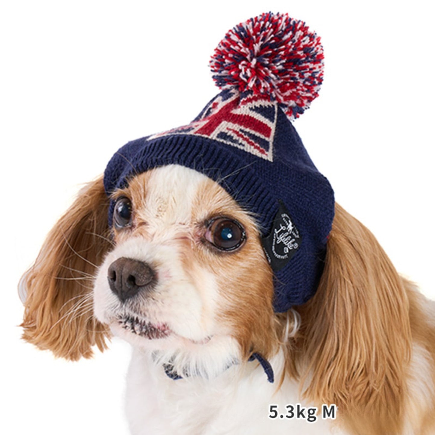 Flag Pom-pom Beanie