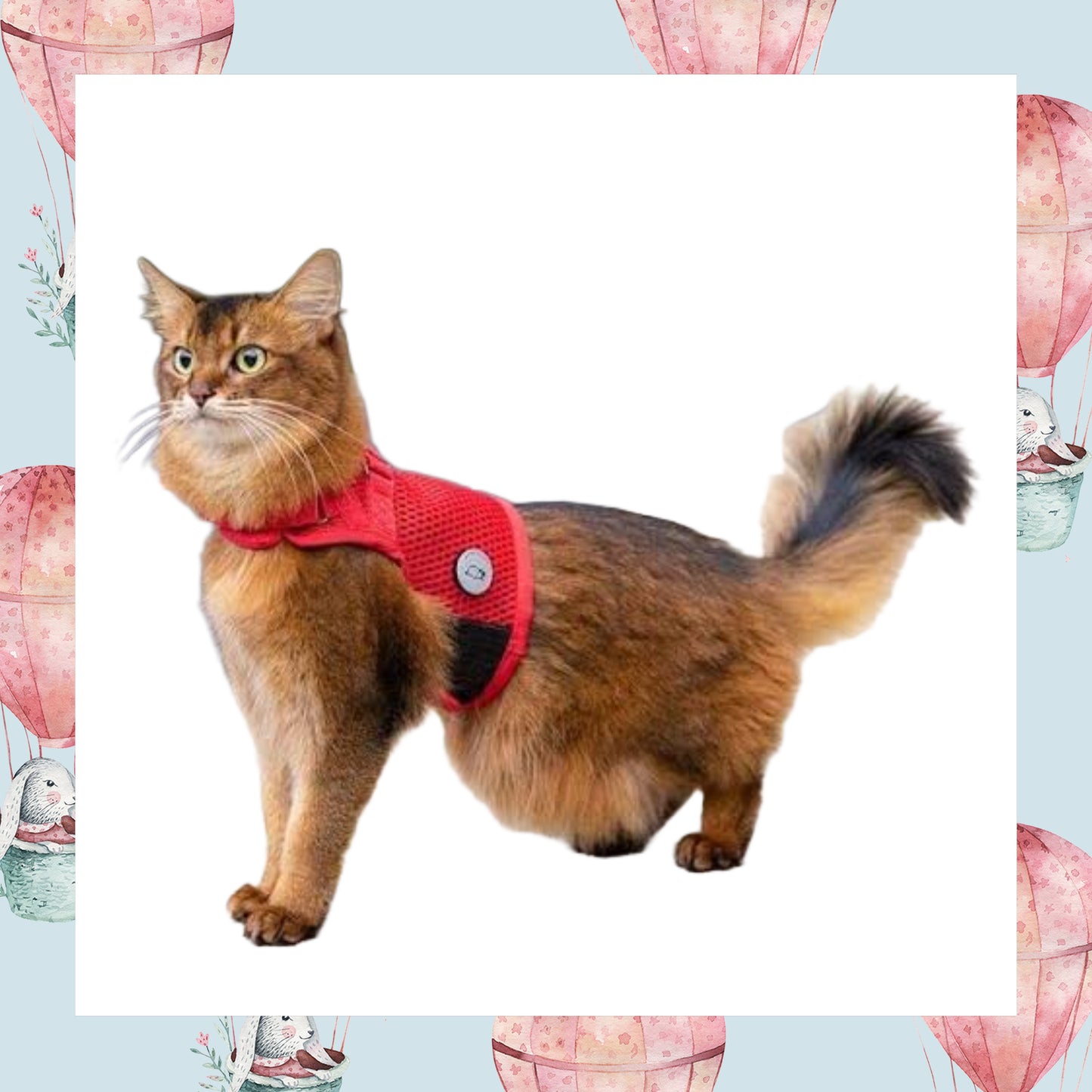 Martingale Cat Harness