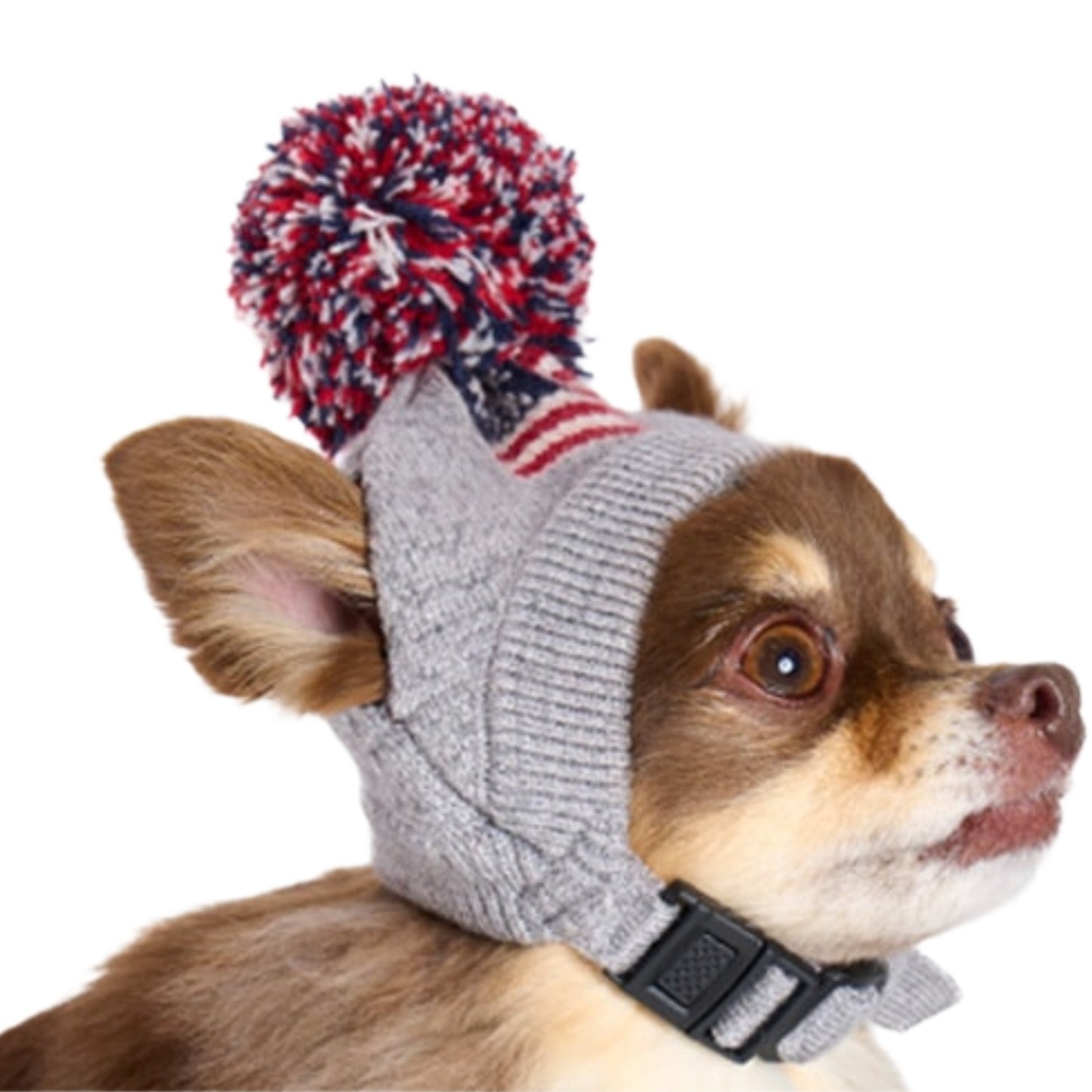 Flag Pom-pom Beanie