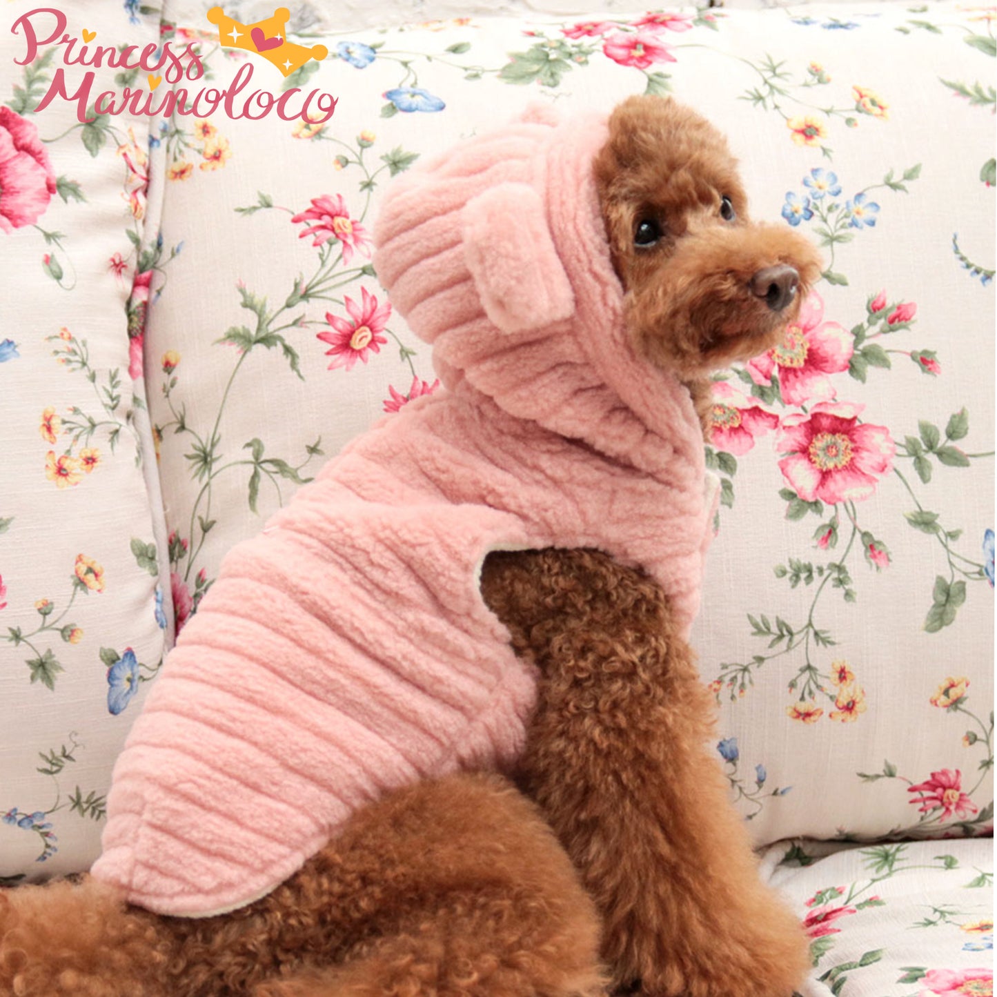 Teddy Bear Hoody Sweater