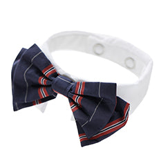 School Girl Ribbon Tie and White Collar