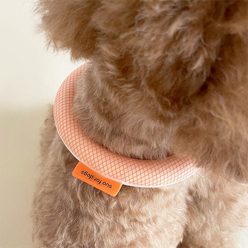 Suo For Dogs 28°ICE Cool Ring