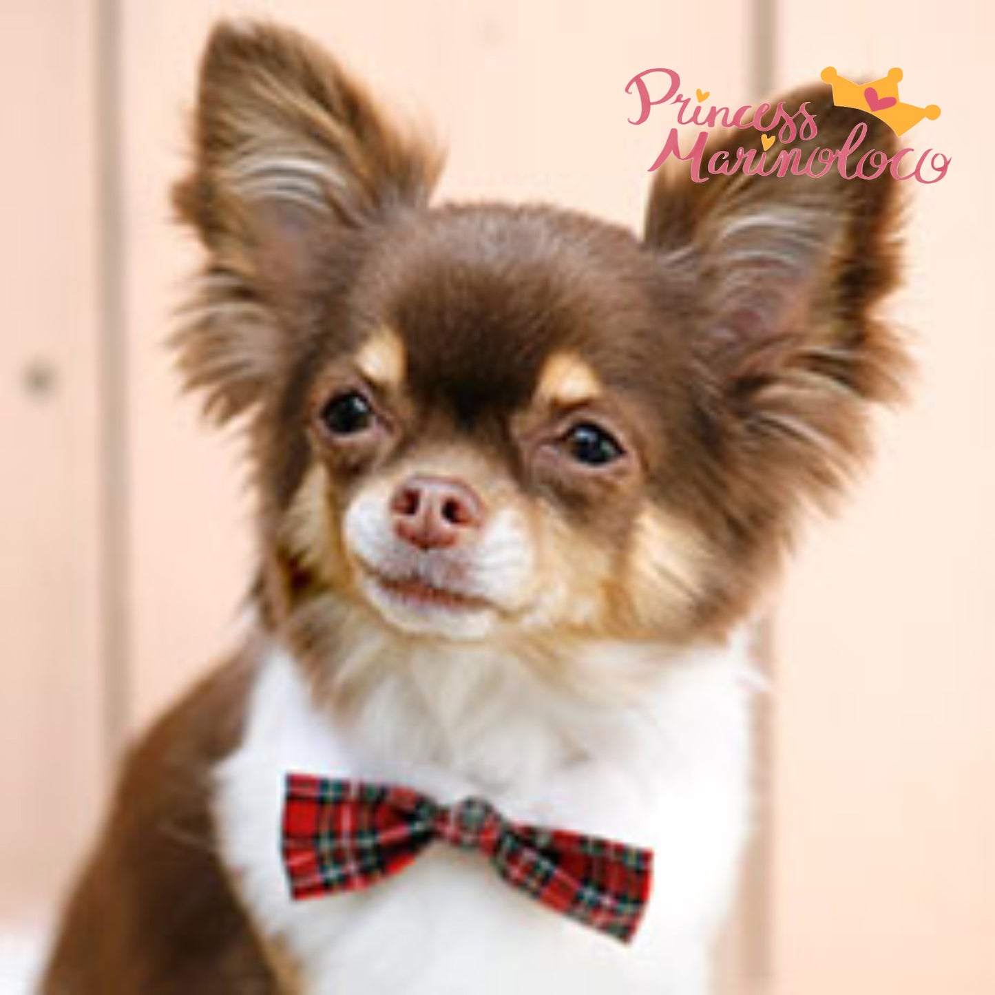 Party Tuxedo Bow Tie