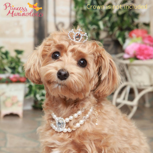 Shiny Cinderella Necklace for Dog