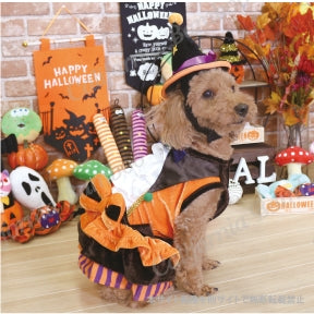 Jack O'lantern Dog Costume