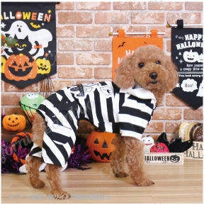 Cutie Prisoner Dog Costume