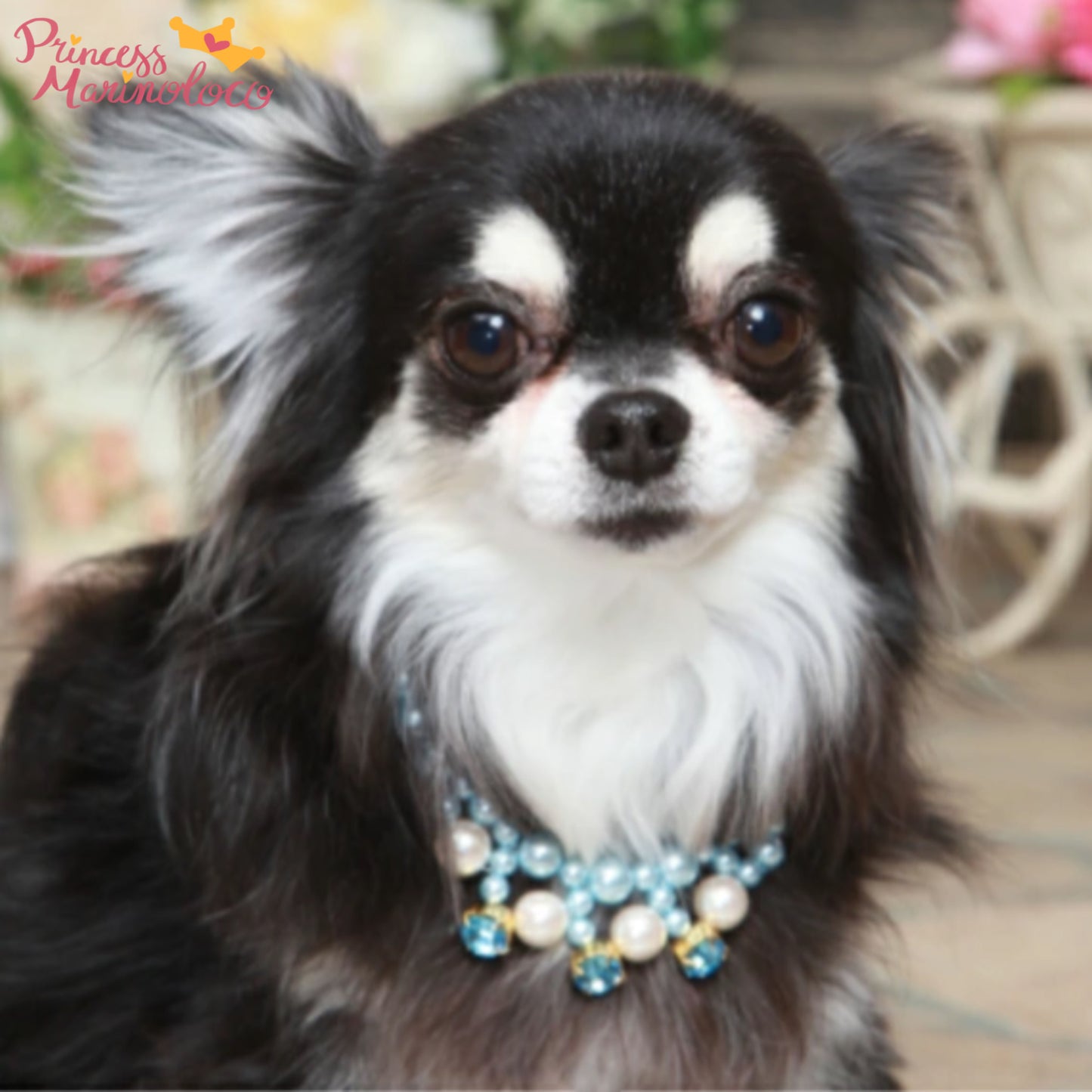 Pearly Jeweled Crystal Necklace for Dogs