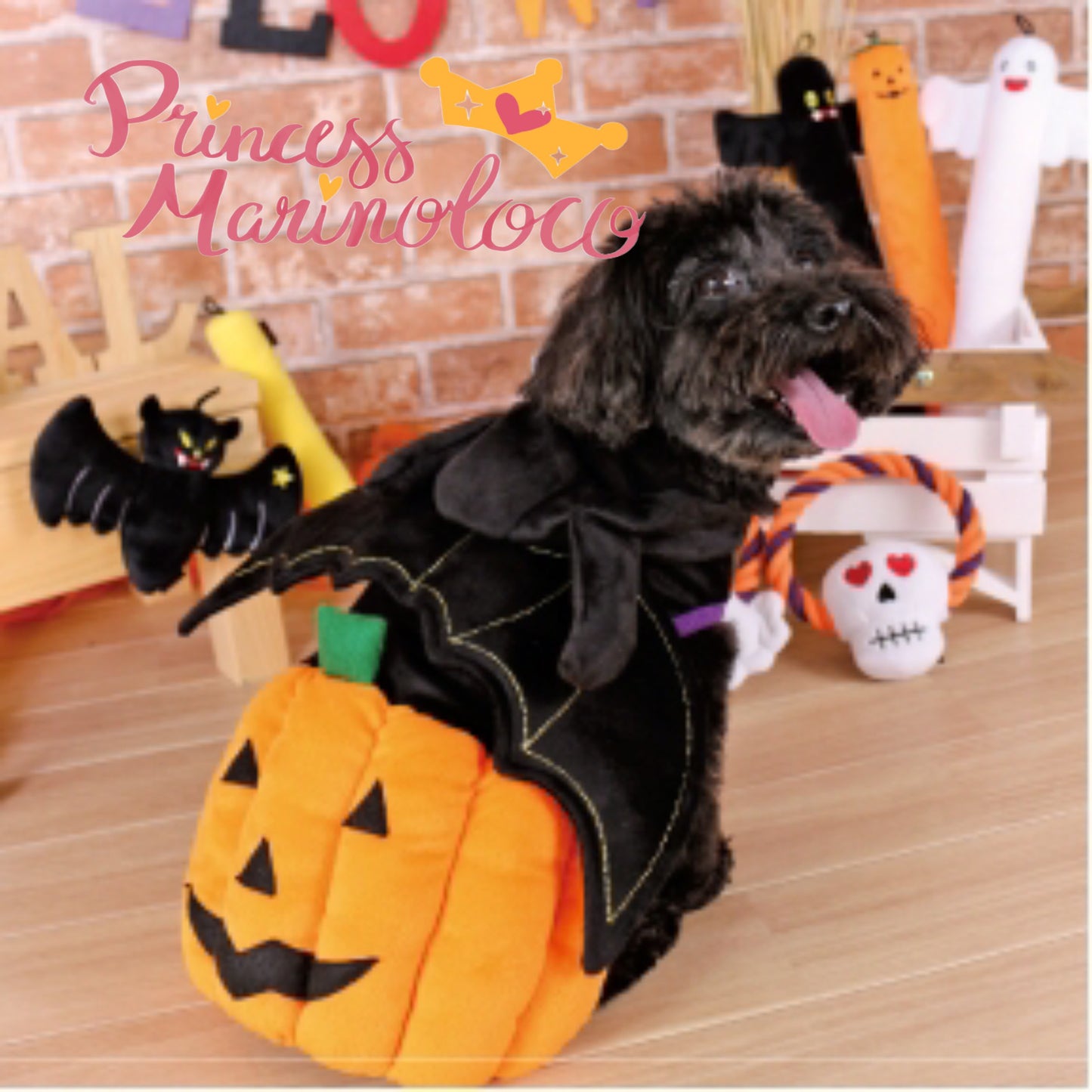 Pumpkin Bat Dog Costume