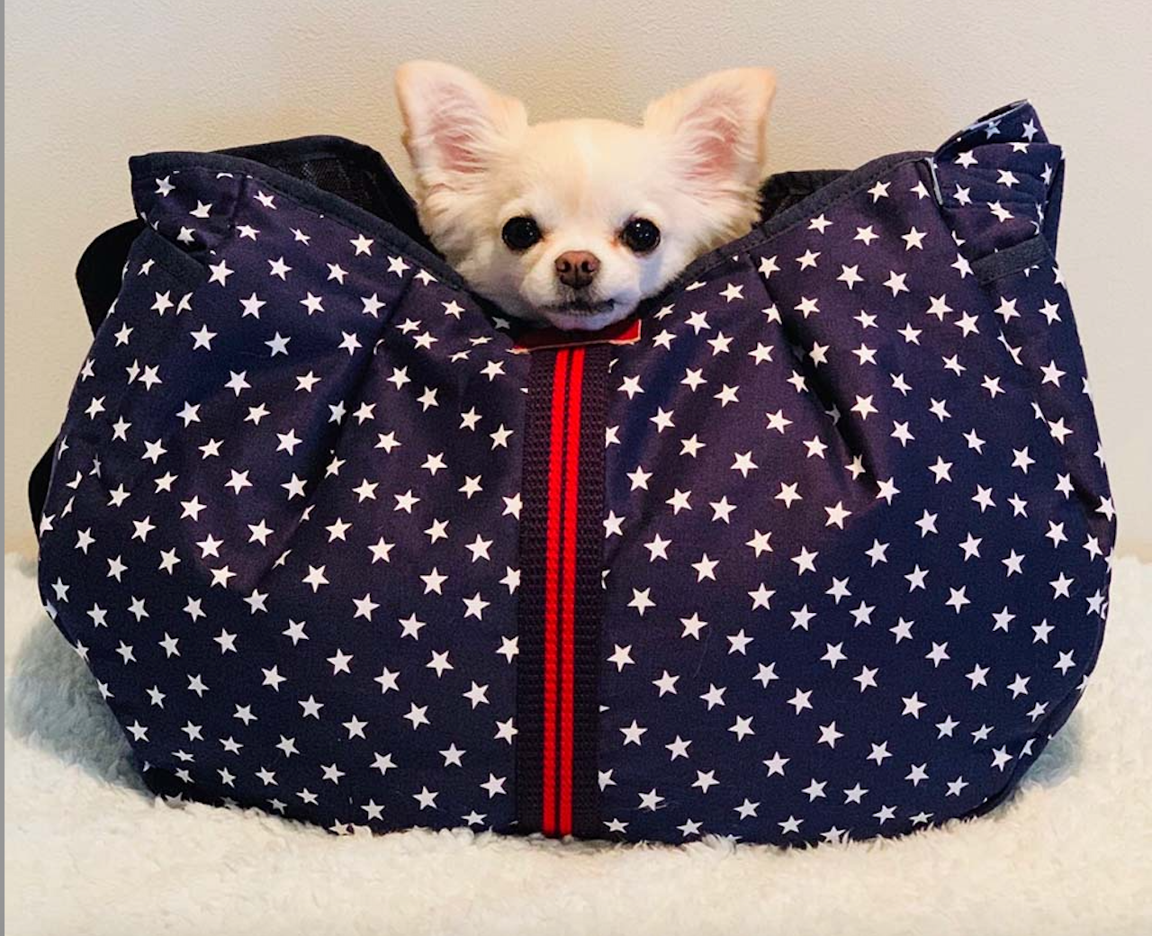 Super Star Denim Dog Carrier