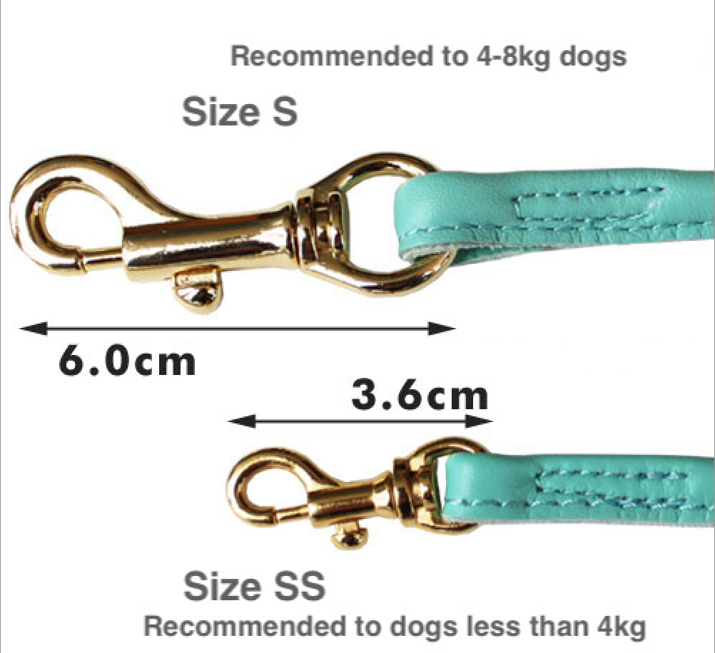 Leather Leash