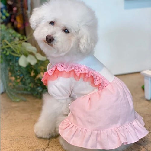 Pink Frilled Lace Dress