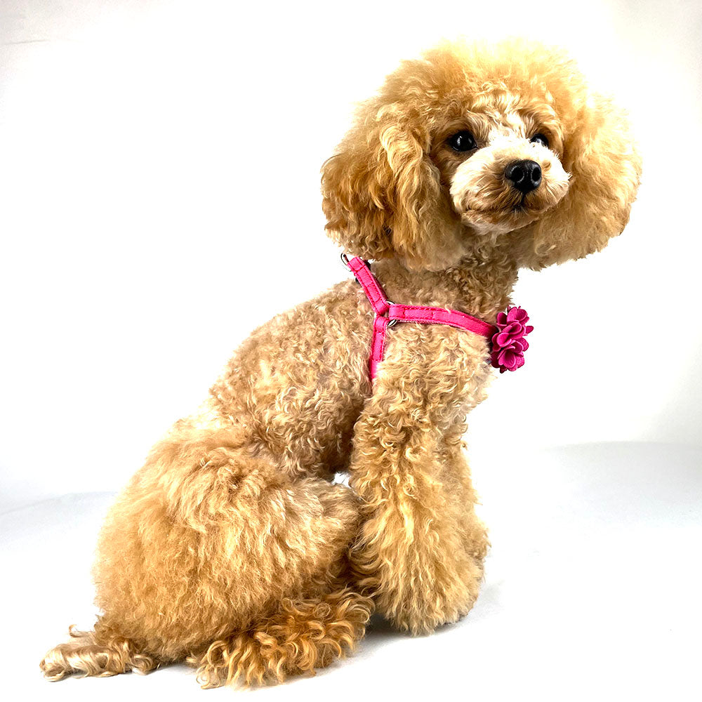 Rosette Denim Harness