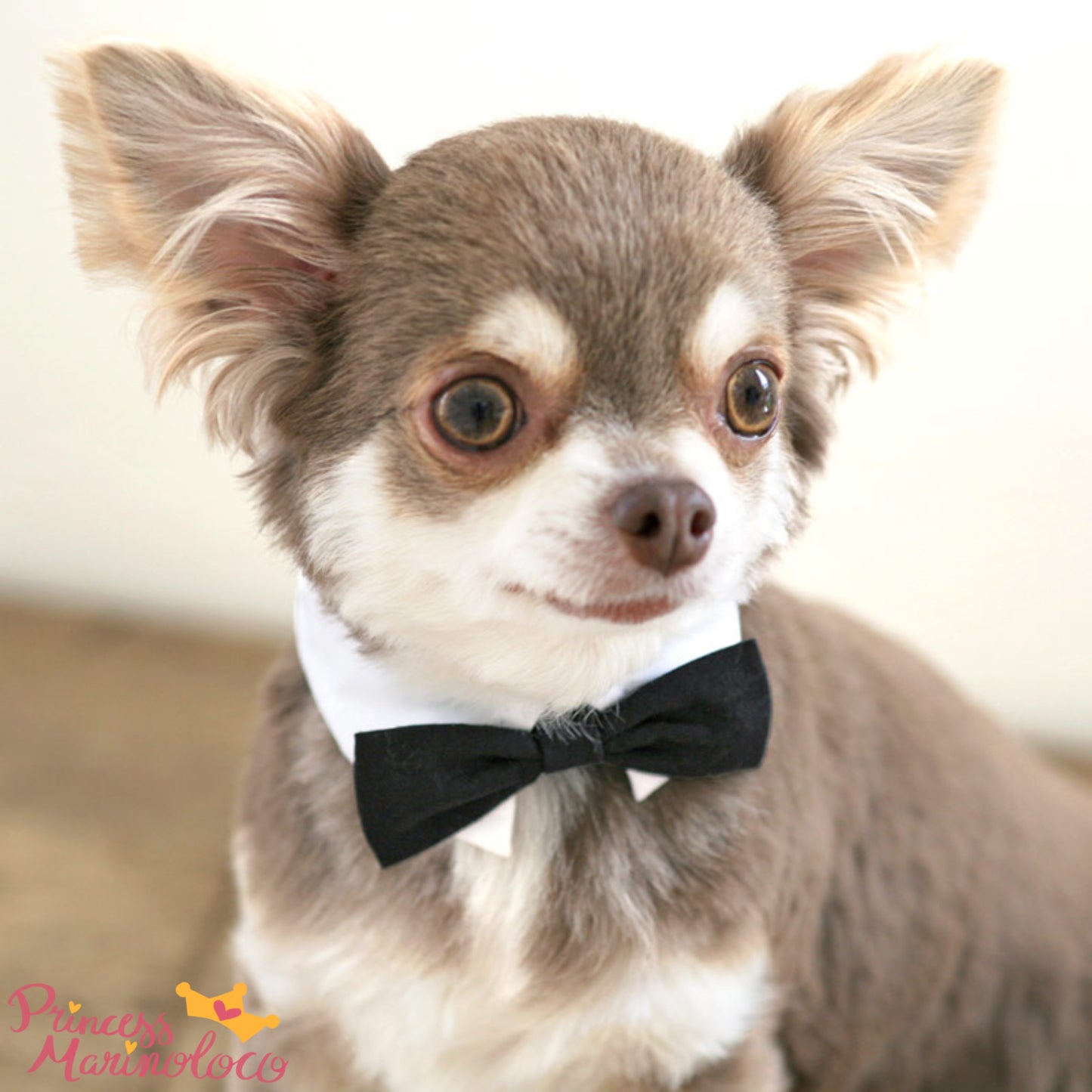 Party Tuxedo Bow Tie