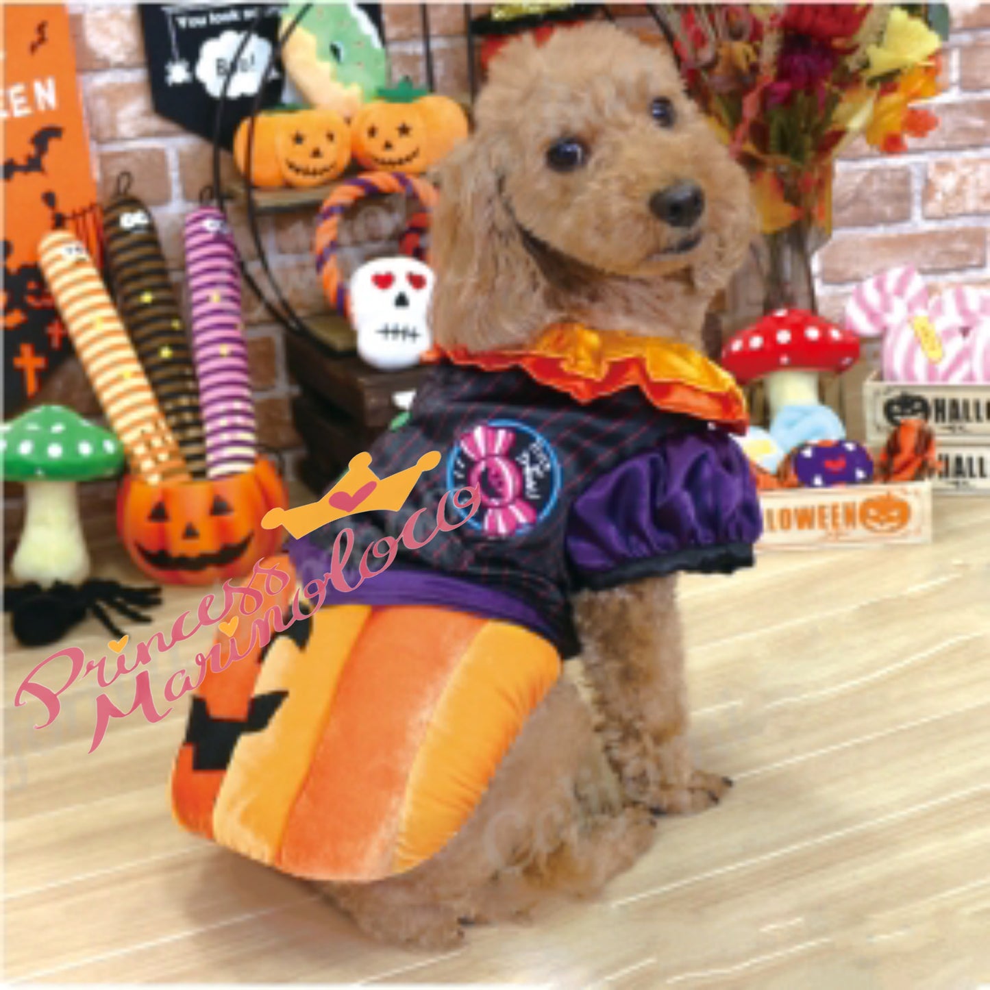 Jack o'lantern Sweet Pumpkin Dog Costume