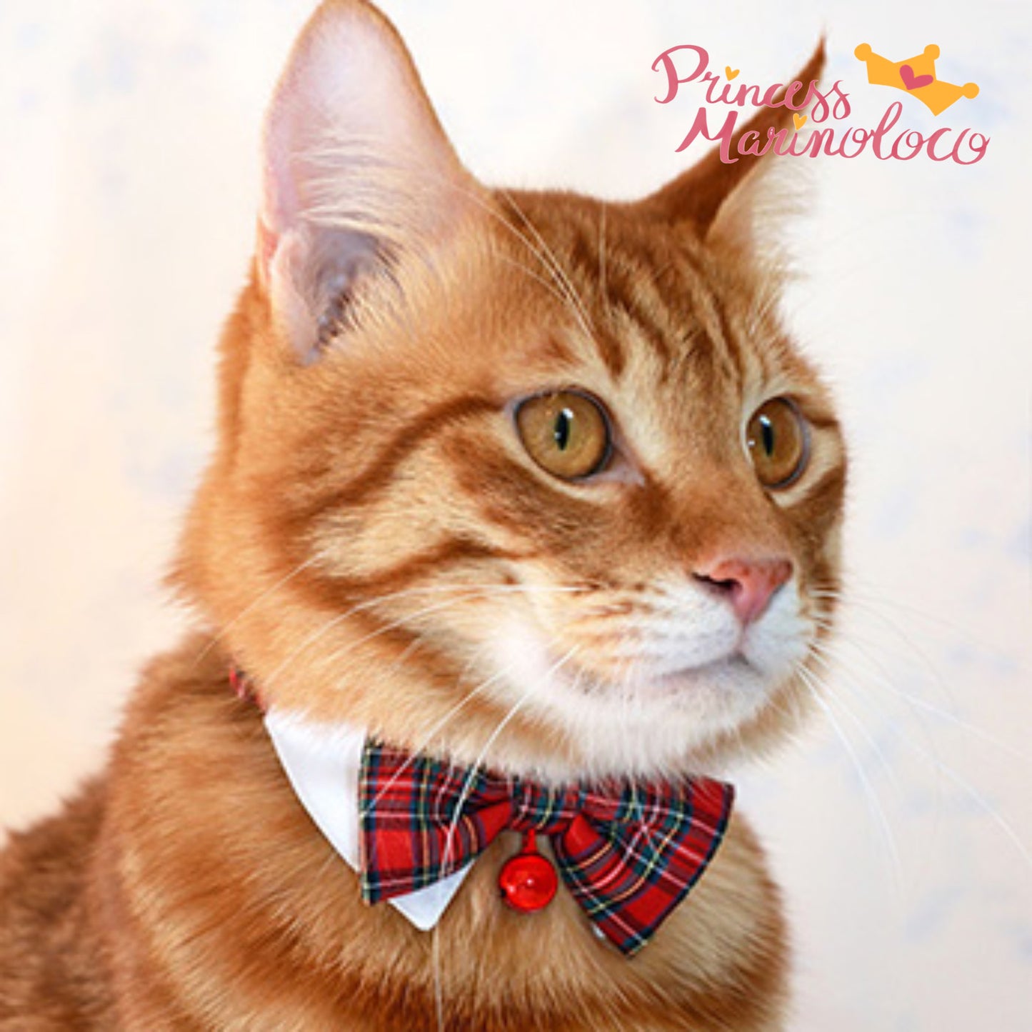 Formal Style Bow Tie Scrunchie For Cat