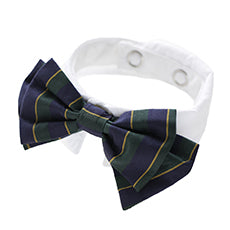 School Girl Ribbon Tie and White Collar