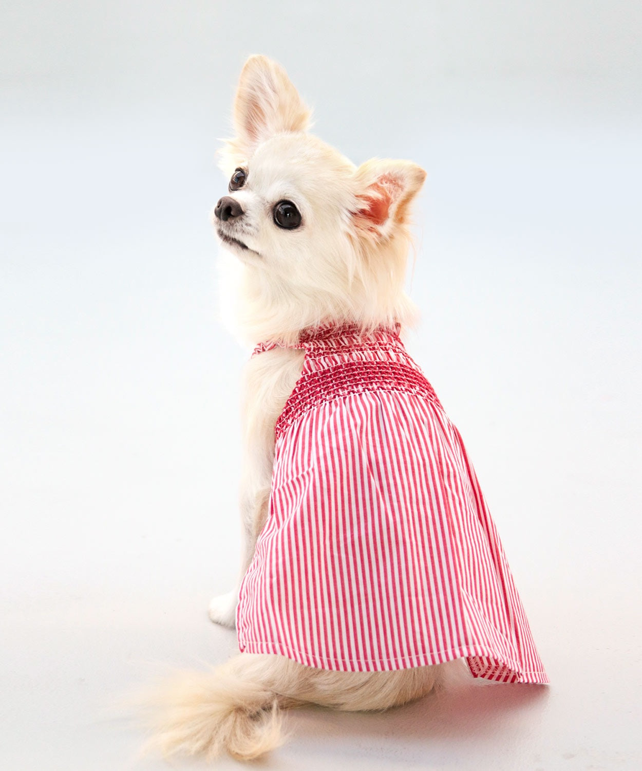 Striped Summer Dress