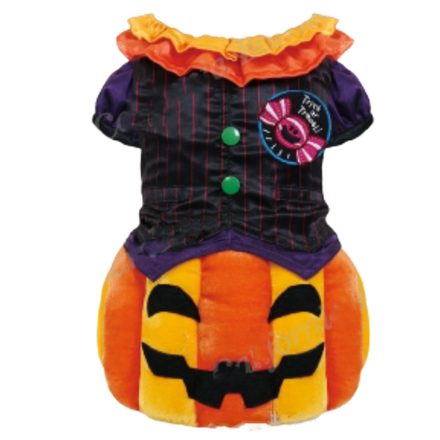 Jack o'lantern Sweet Pumpkin Dog Costume