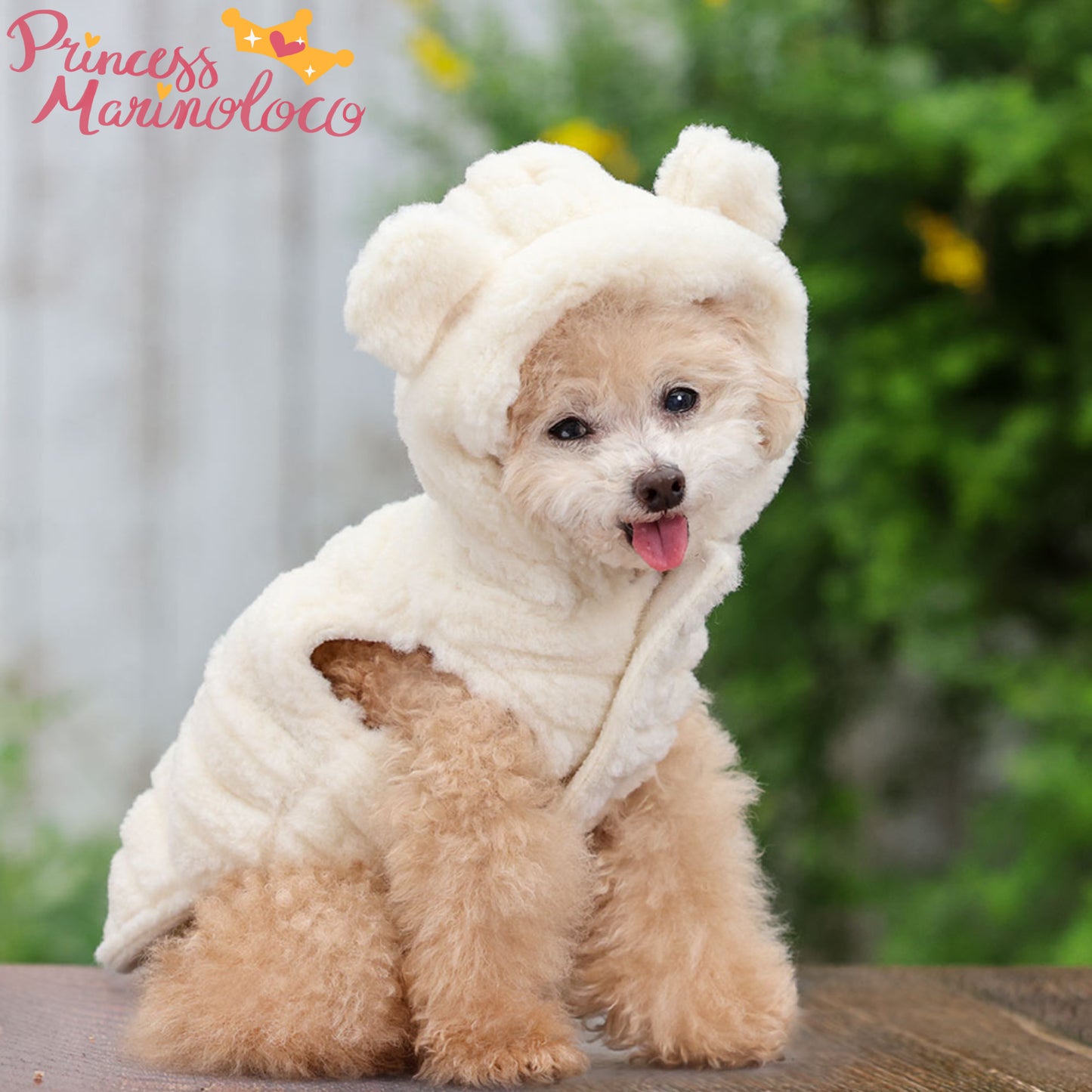 Teddy Bear Hoody Sweater