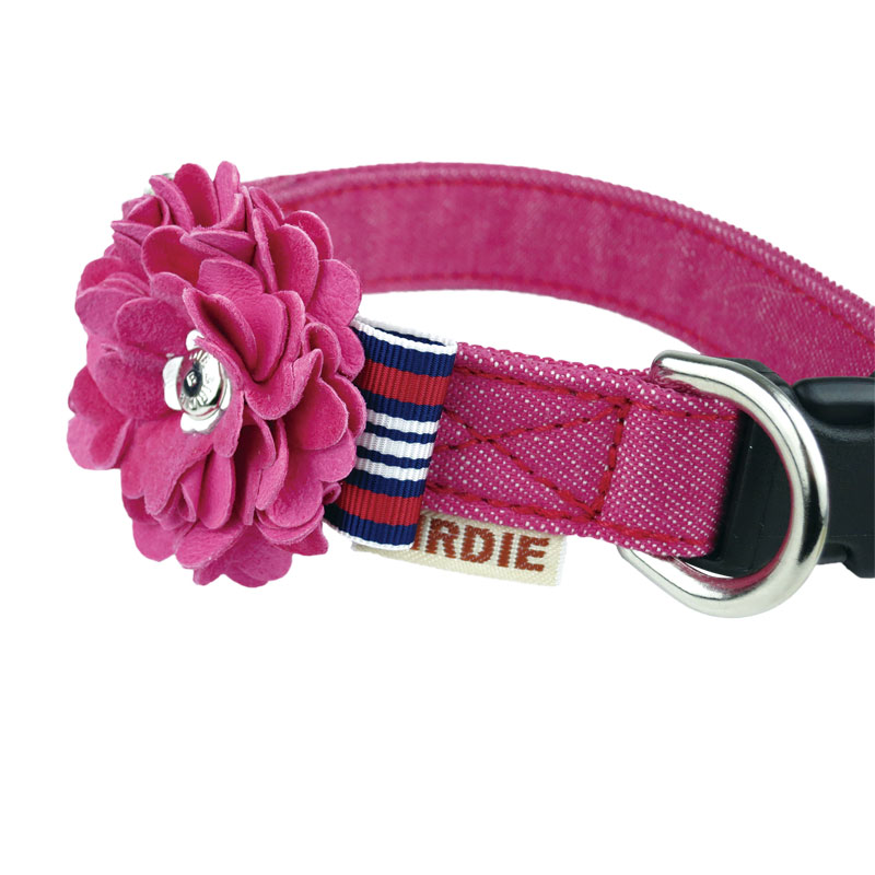 Rosette Denim Collar