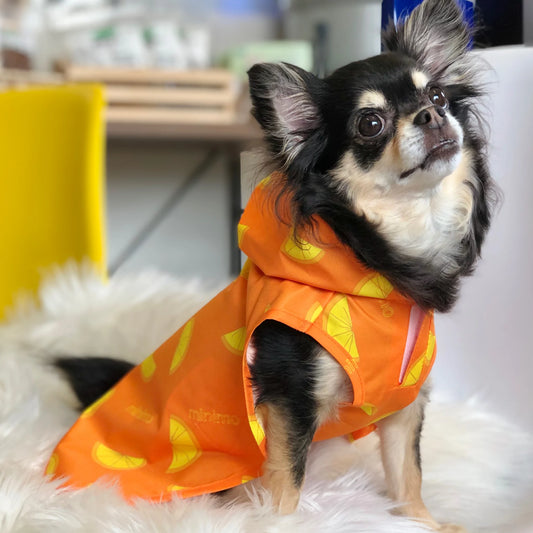 Waterproof Rain Coat for Dogs