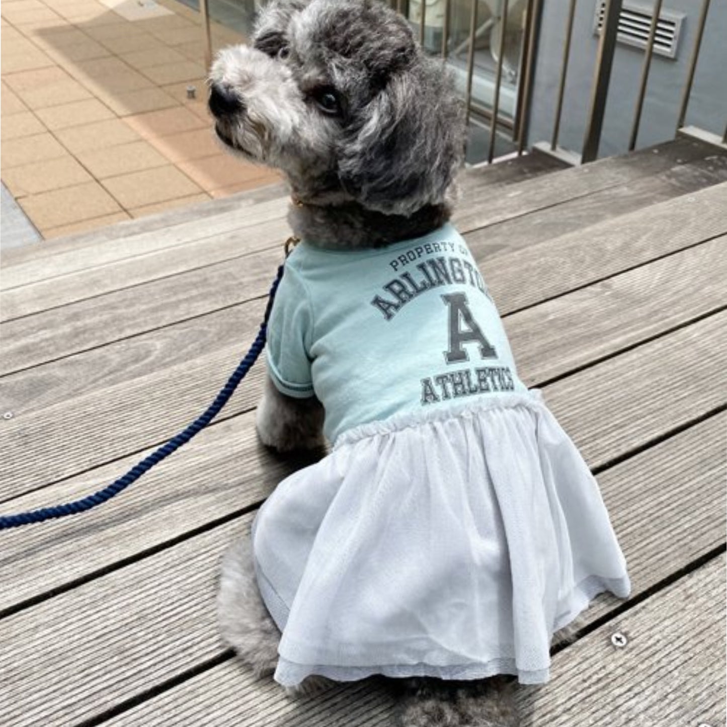 Sporty Casual Blue Dress with Gray Tulle Skirt