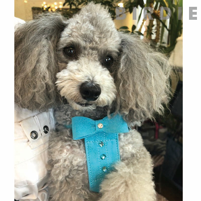 Ultra Suede Bow Tie Harness