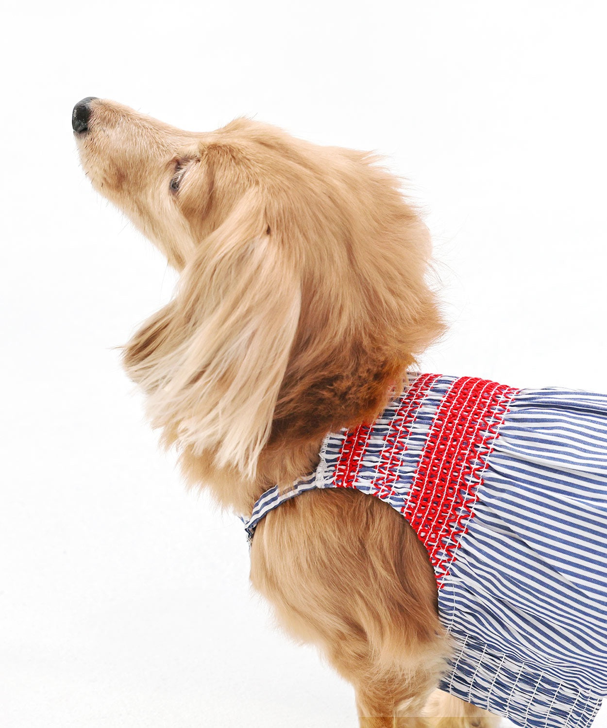 Striped Summer Dress