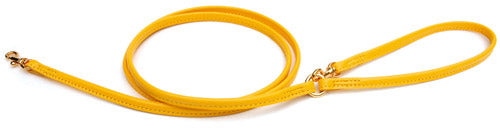 Leather Leash