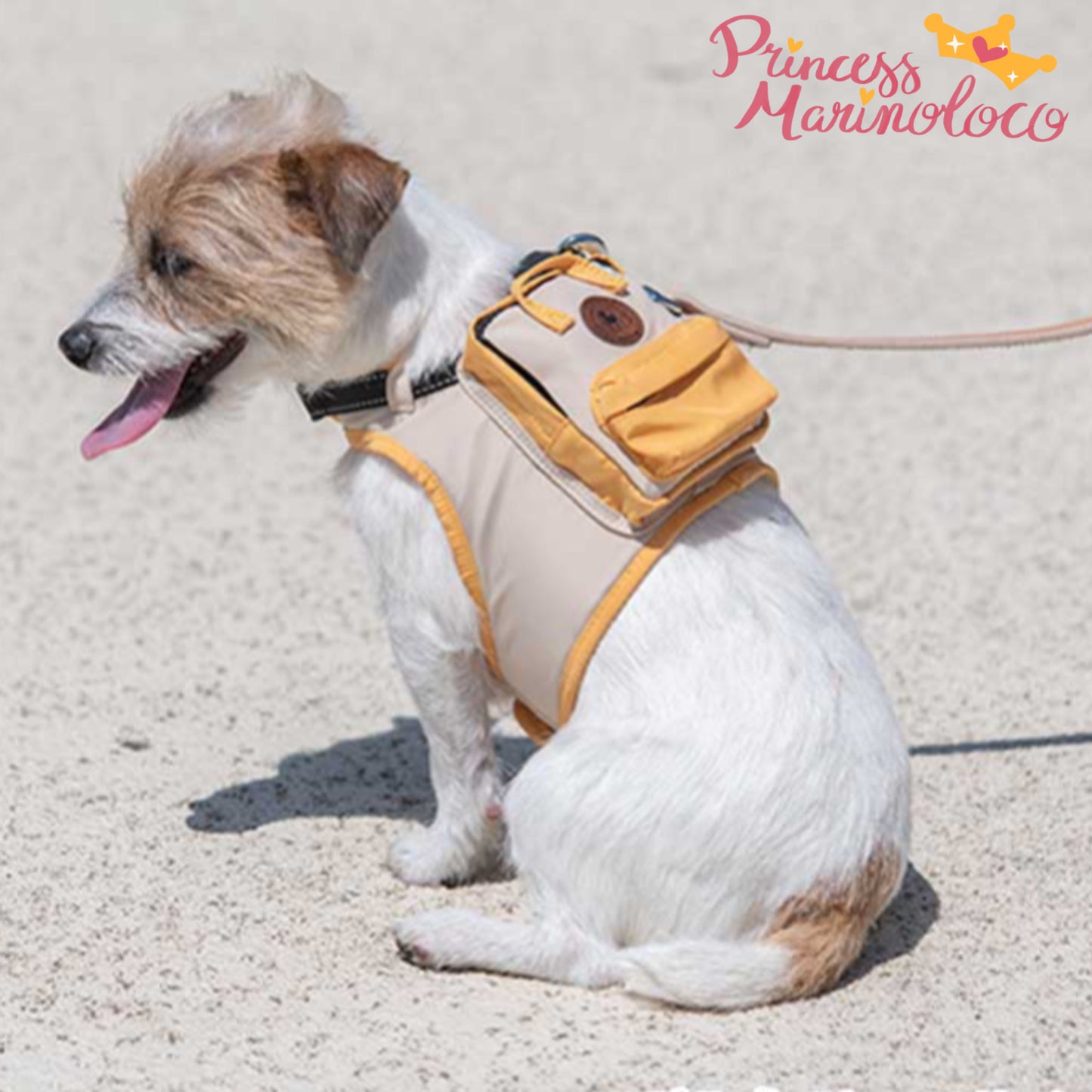 Square Backpack Harness