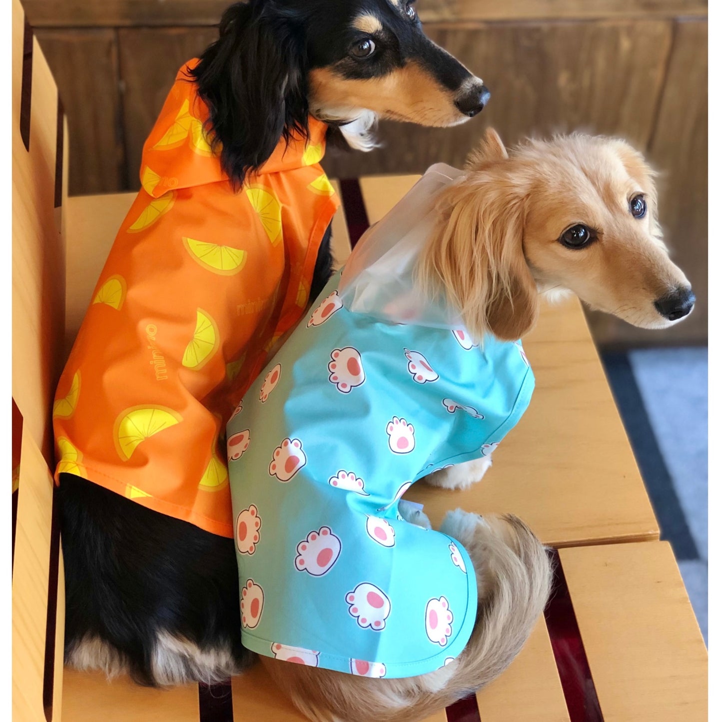 Waterproof Rain Coat for Dogs