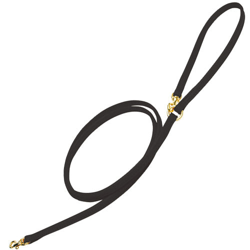 Leather Leash