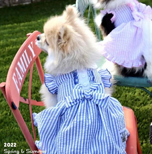 Summer Striped Ribbon Dress