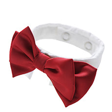 School Girl Ribbon Tie and White Collar
