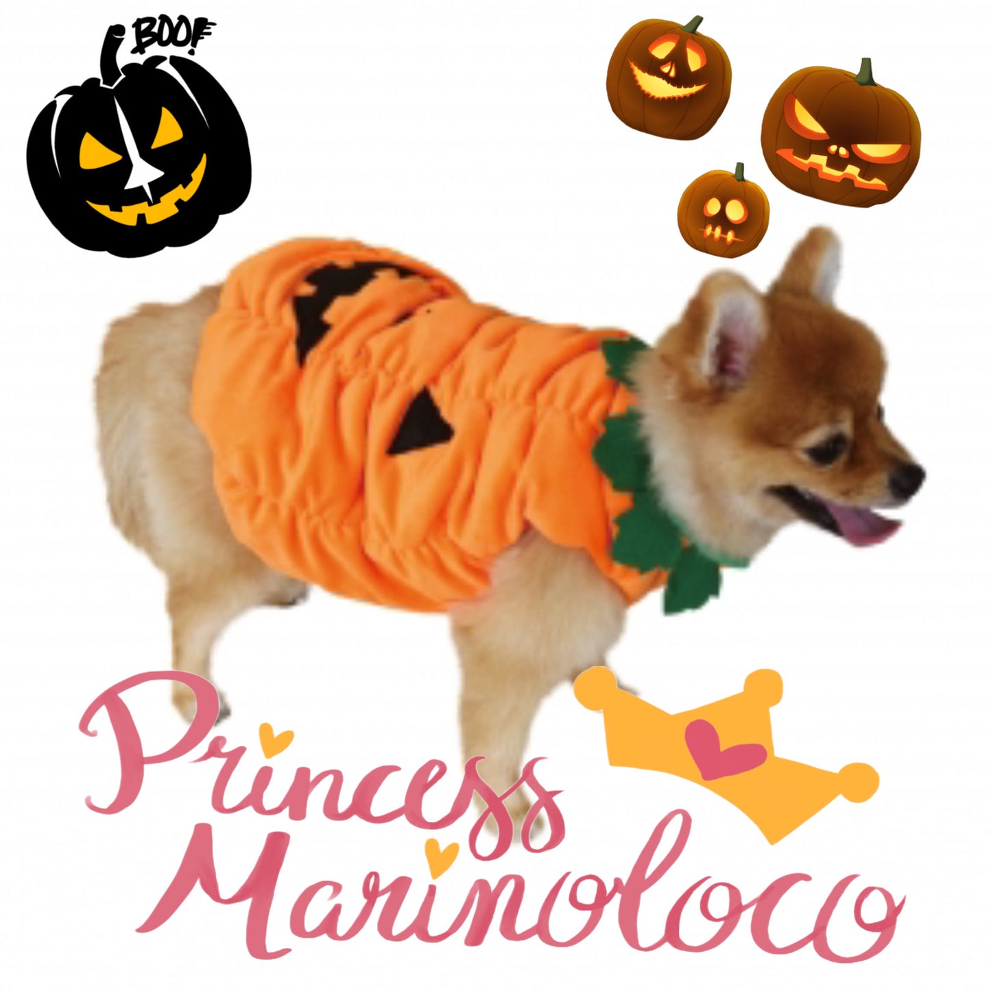 Jack O'lantern Pumpkin Dress Dog Costume