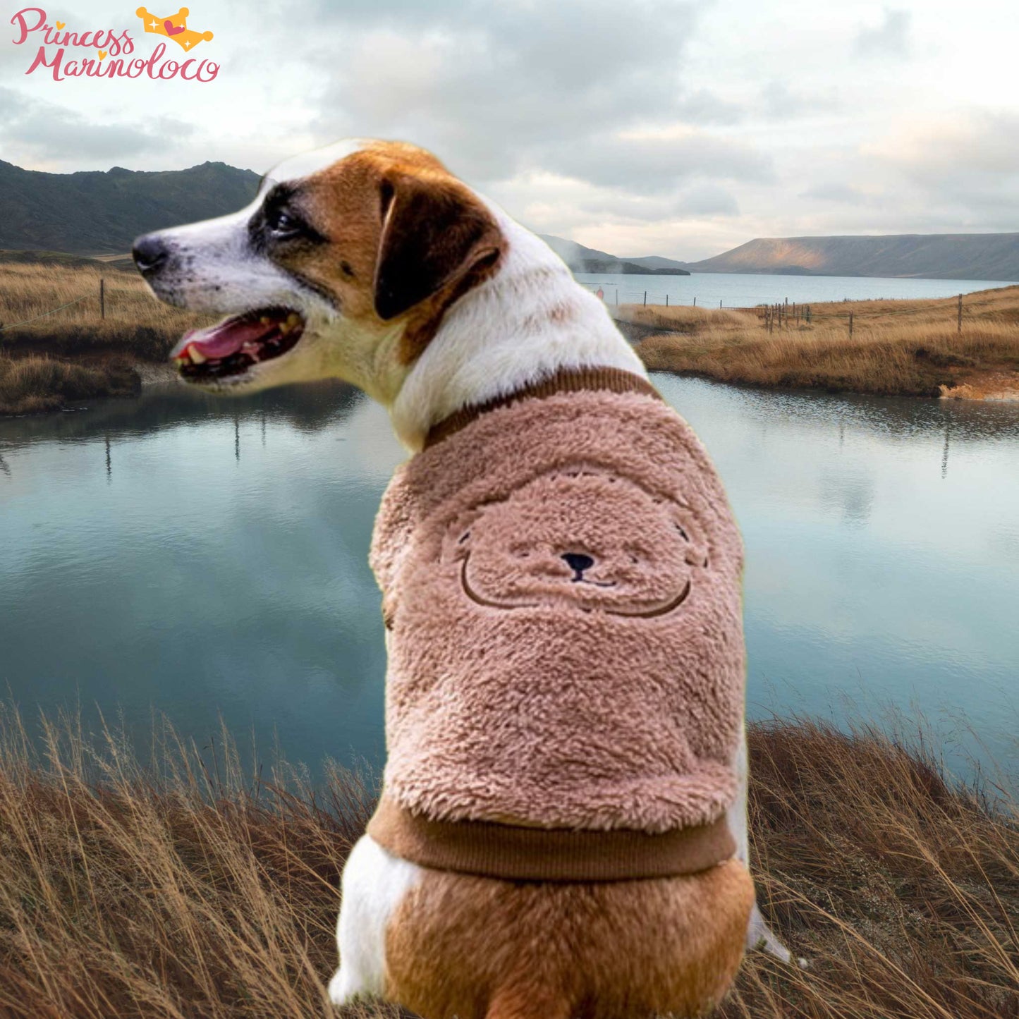 Teddy Bear Fleece Vest