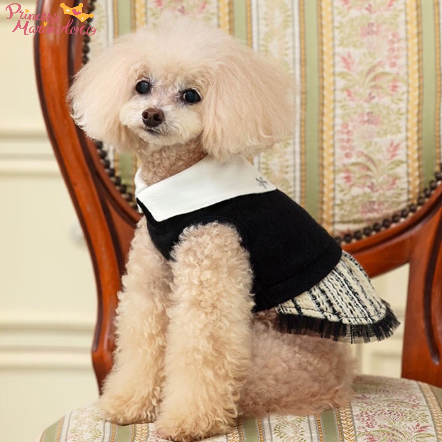 Tweed Tulle Skirt with White Collar Dress