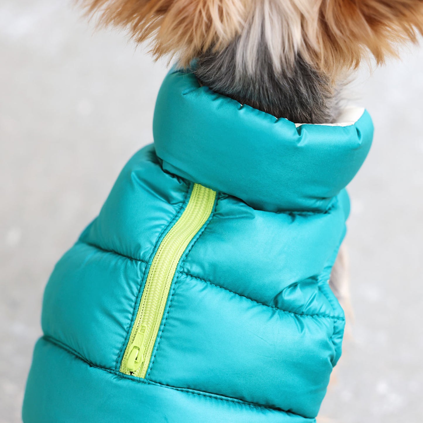 Goody Dog Puffer Vest